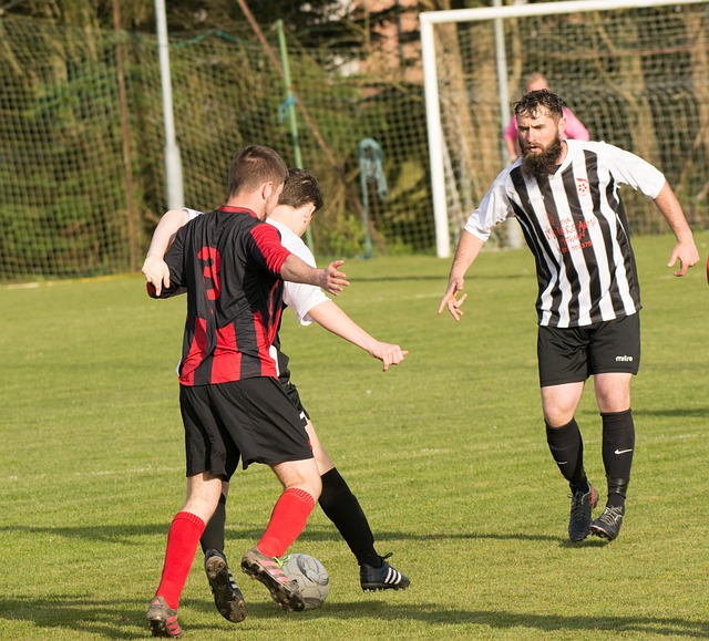 他们在本轮 他们在本轮