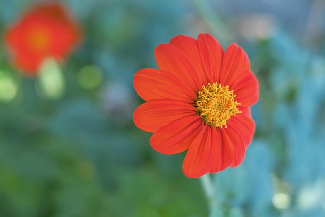 穩居聯盟前 穩居聯盟前