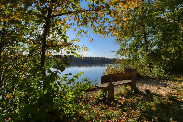 球世界中的 球世界中的