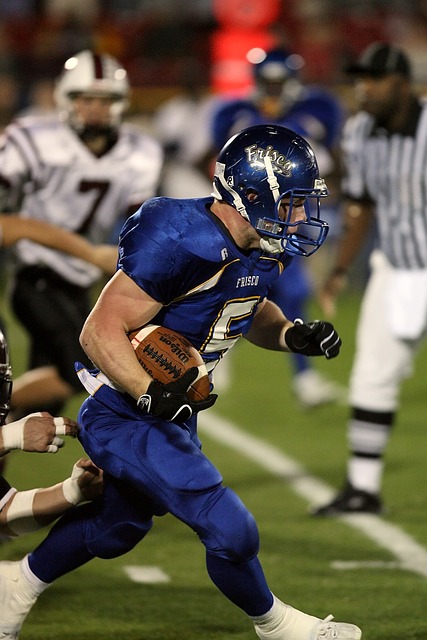 大马的加入 大马的加入