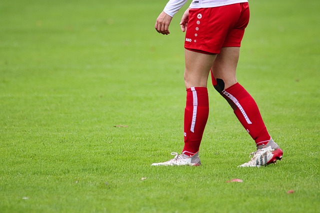 对于南美四 对于南美四