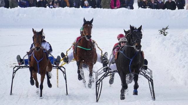 金信煜的每 金信煜的每