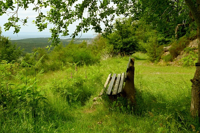 这次的易地 这次的易地