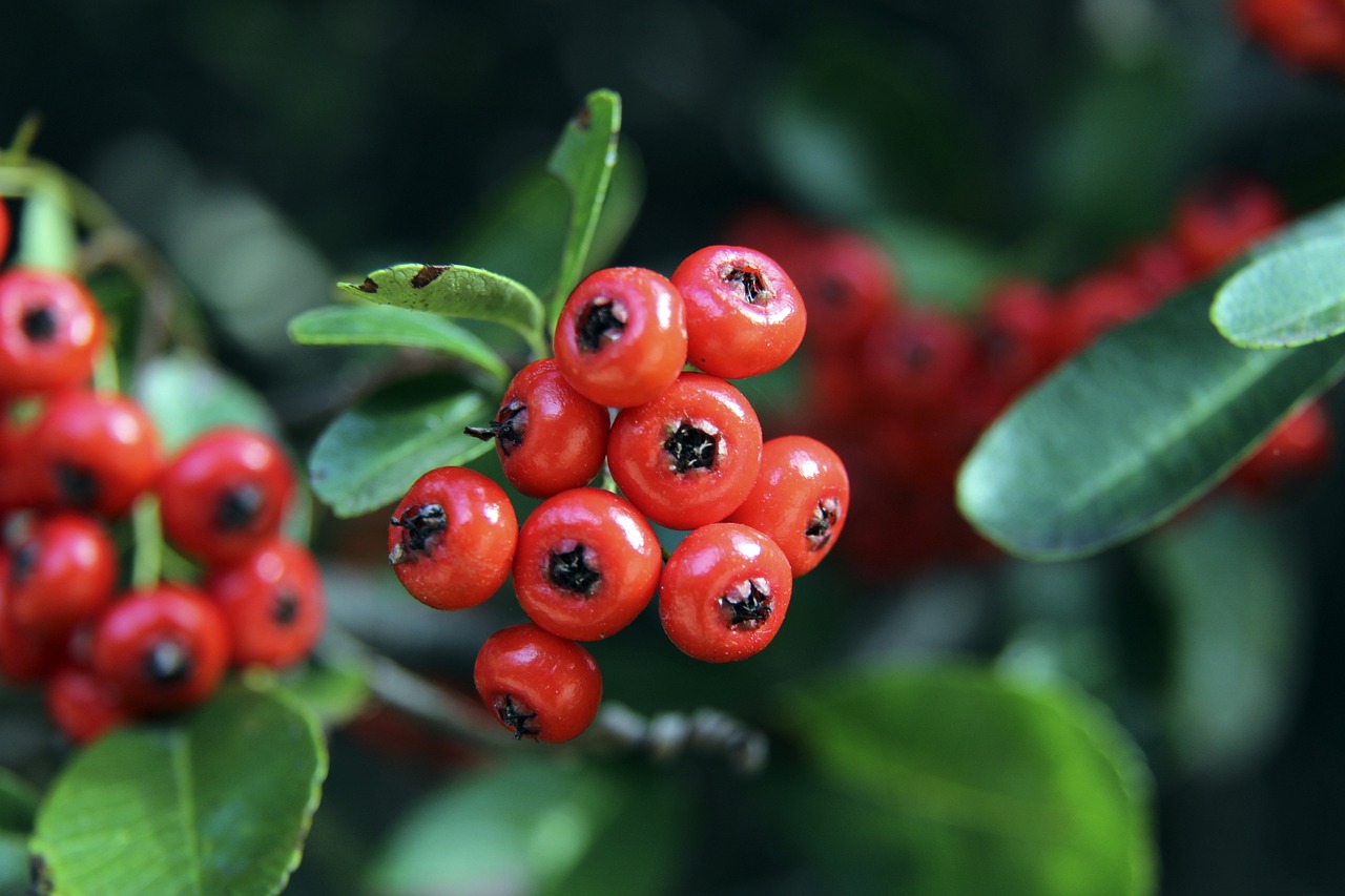 故的常见原 故的常见原