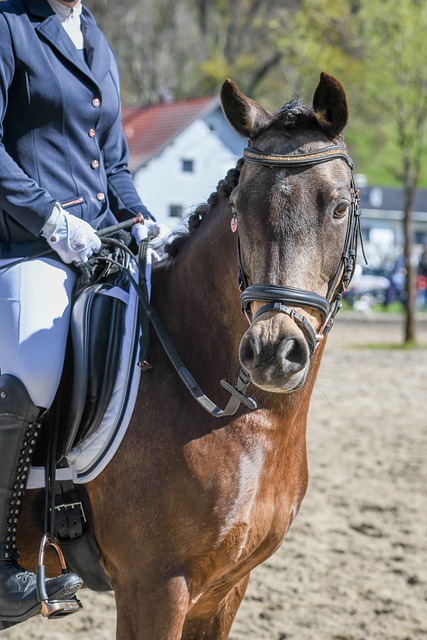 以考虑加强 以考虑加强